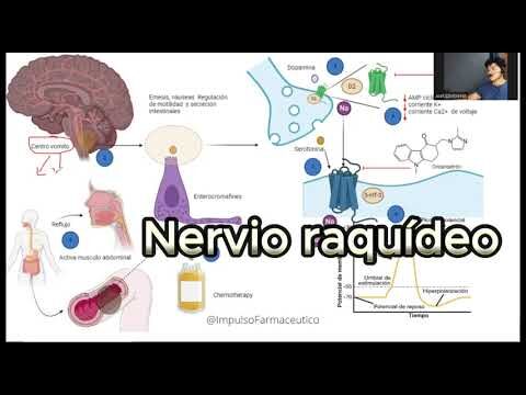 Ondansetrón: alivio de síntomas en quimioterapia