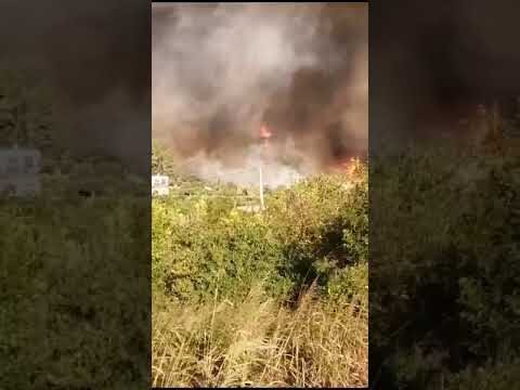 Gu&iacute;a de Farmacias en Montichelvo, Valencia: Encuentra la m&aacute;s cercana a ti