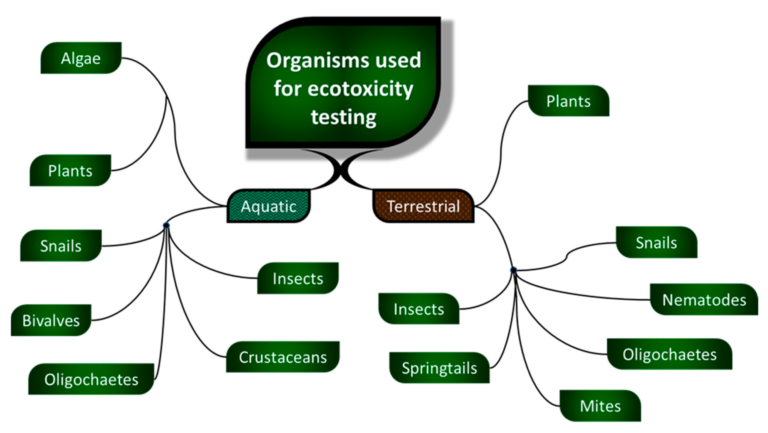 Aspectos bioqu&iacute;micos de la excreci&oacute;n de toxinas