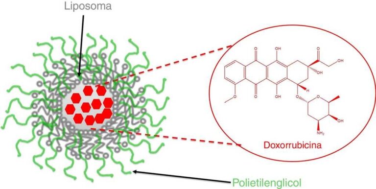 Avances en nanofarmacolog&iacute;a: Desarrollo de sistemas de liberaci&oacute;n de medicamentos