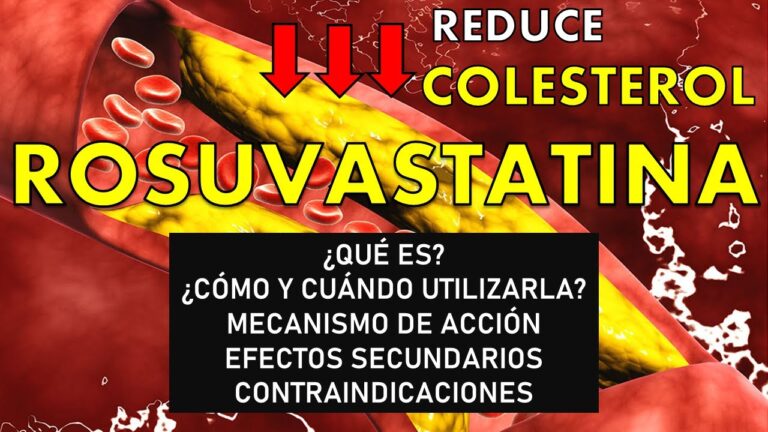 Efectos de la rosuvastatina en el organismo