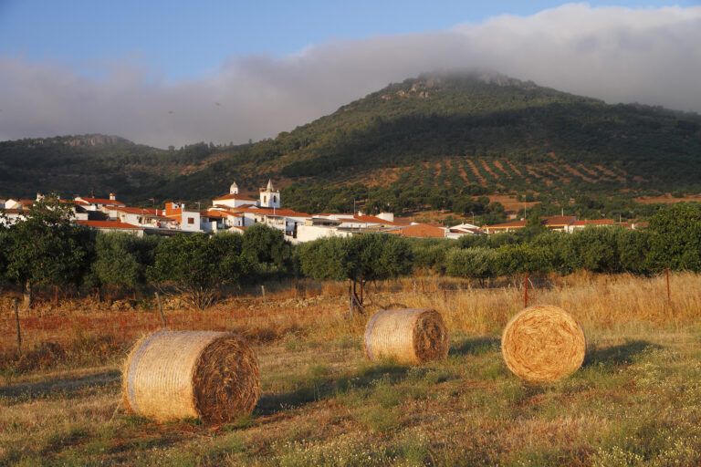 Farmacias en Carbajo, C&aacute;ceres: Encuentra la m&aacute;s cercana