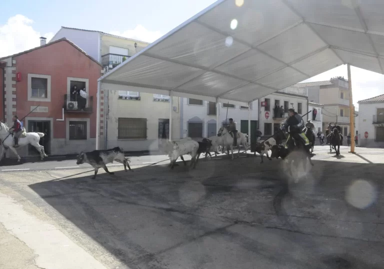 Farmacias en Martiago, Salamanca: Todo lo que necesitas saber