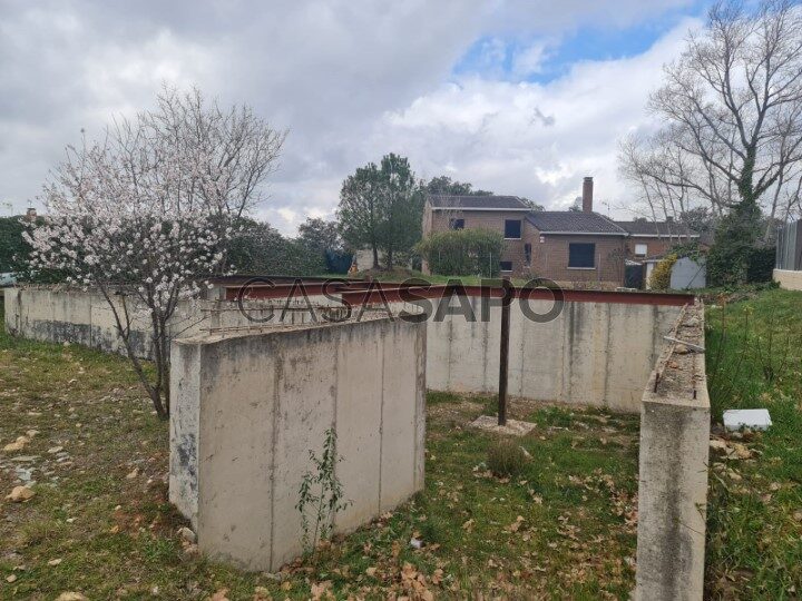Farmacias en Ocentejo Guadalajara: Encuentra la m&aacute;s cercana a ti