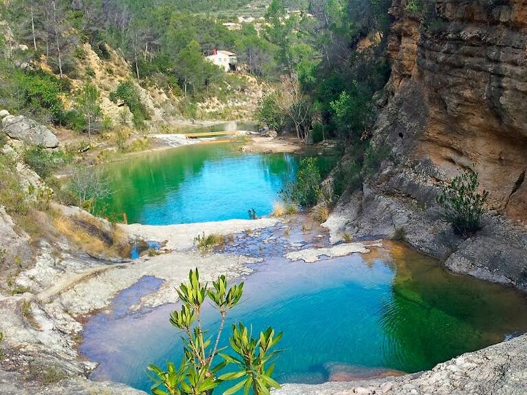 Farmacias en Sot de Chera, Valencia: Gu&iacute;a Completa
