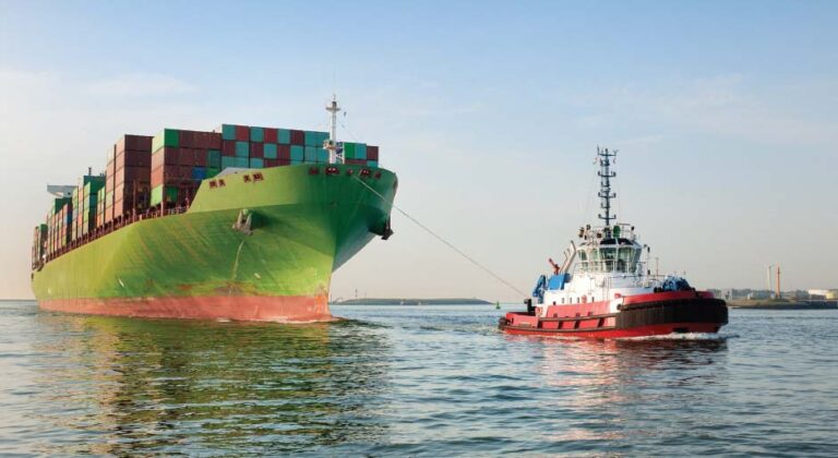 Felisa S&aacute;nchez S&aacute;nchez