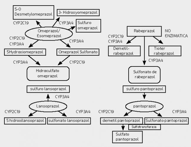 Funcionamiento de la roxatidina en el tratamiento de la acidez