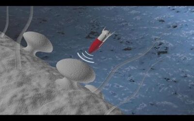 Farmacia Ortopedia Cepeda