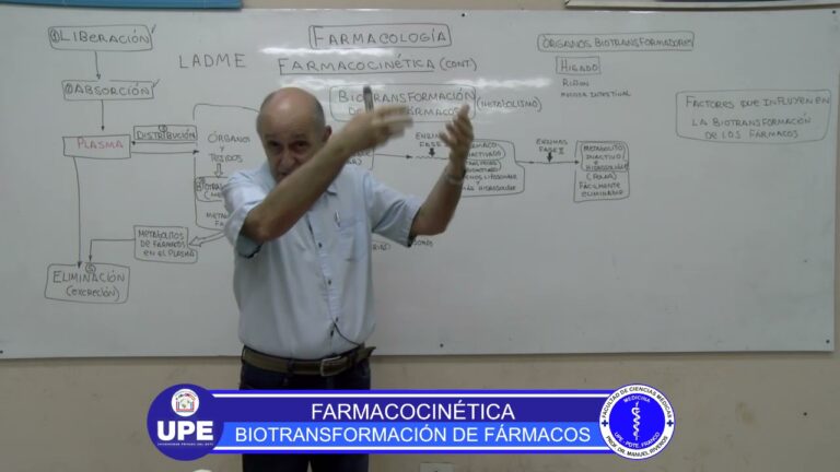 Estudio de la Biotransformaci&oacute;n de Medicamentos