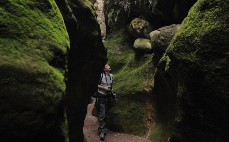 Gu&iacute;a de farmacias en Librilla, Murcia: Encuentra la m&aacute;s cercana a ti