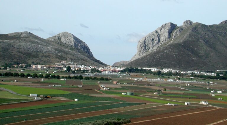 Gu&iacute;a de farmacias en Zafarraya, Granada