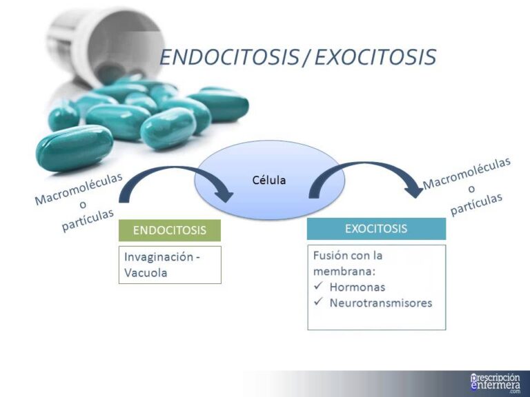 Guía para prevenir interacciones medicamentosas: entendiendo la absorción