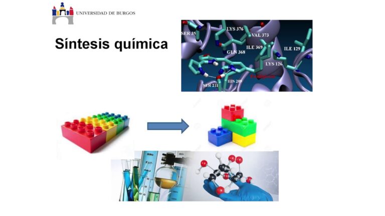 Farmacolog&iacute;a Experimental: Descubrimiento de Nuevos F&aacute;rmacos