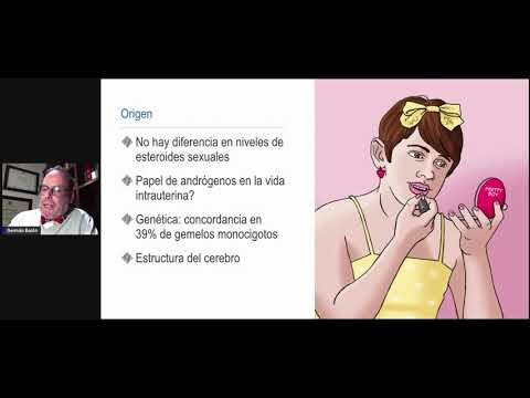 El papel del parche transd&eacute;rmico en la terapia hormonal