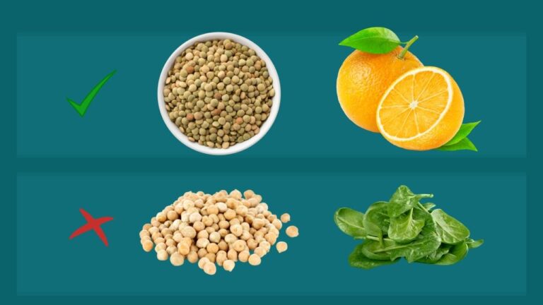 Importancia de la biodisponibilidad en la asimilaci&oacute;n de nutrientes