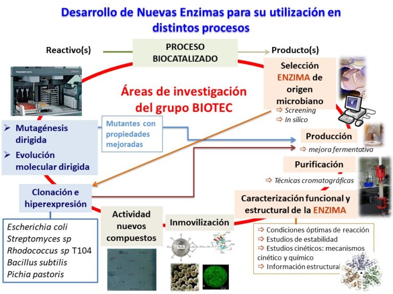 La evoluci&oacute;n de la biotransformaci&oacute;n microbiol&oacute;gica