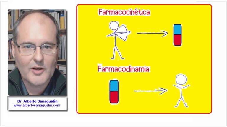 Interacción entre farmacocinética y farmacodinamia