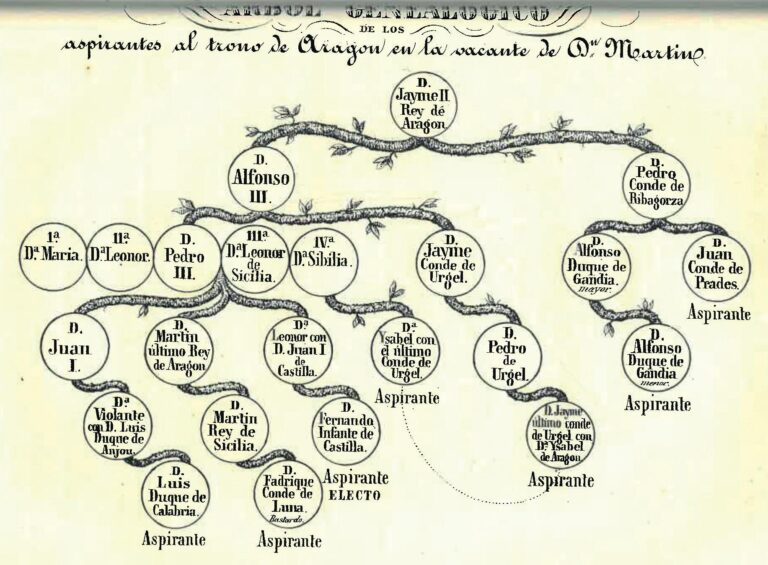 Mar&iacute;a Rosa Feliu Erill - Comvet
