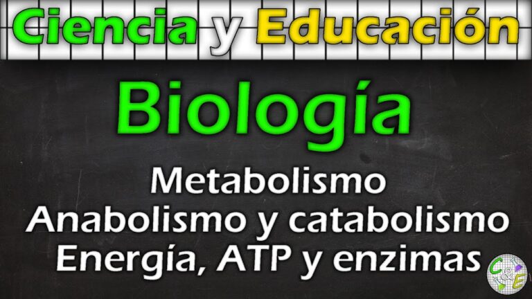 Importancia de los Sustratos y Enzimas en la Biotransformación Celular