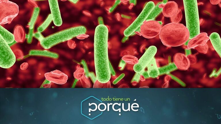 El impacto de la amoxicilina en la leche materna