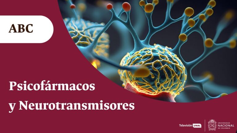 Medicamentos para la salud mental y el sistema nervioso: Gu&iacute;a completa