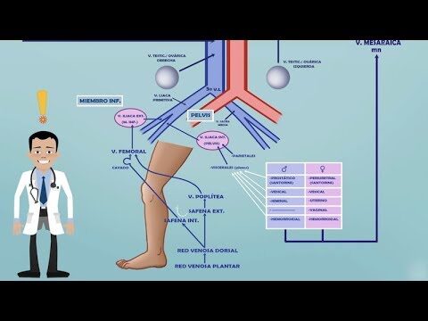 Farmacocin&eacute;tica: clave en interacciones medicamentosas
