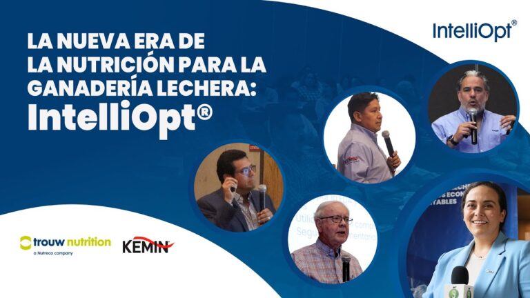 Optimización de la biodisponibilidad de los nutrientes