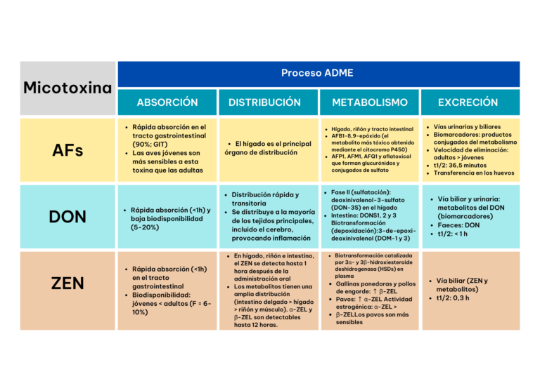 Toxicocin&eacute;tica en la excreci&oacute;n de toxinas: Un estudio completo