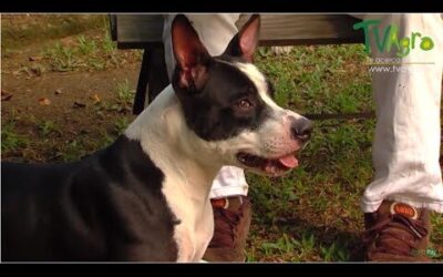 Farmacia Ortopedia Cepeda