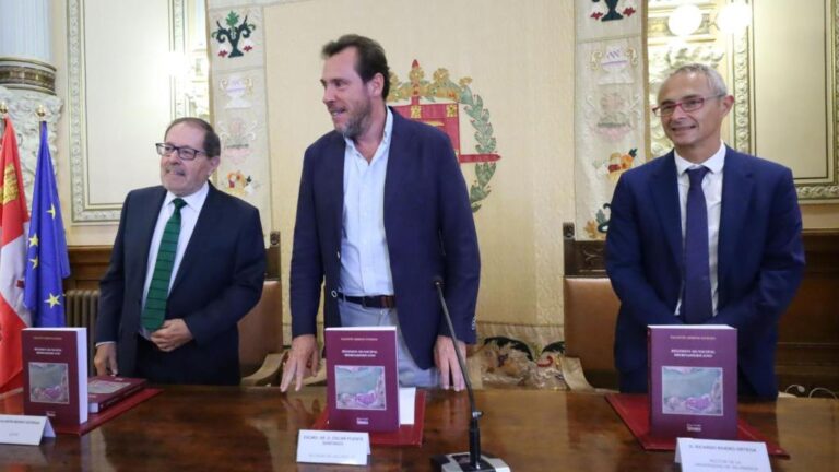 Valent&iacute;n Merino