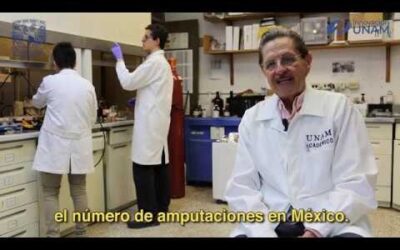 Farmacia Ortopedia Cepeda