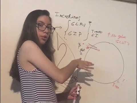 Glibenclamida: opci&oacute;n terap&eacute;utica para la diabetes