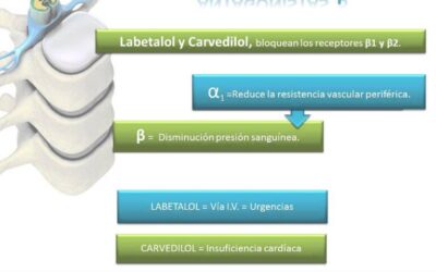 Farmacia Ortopedia Cepeda