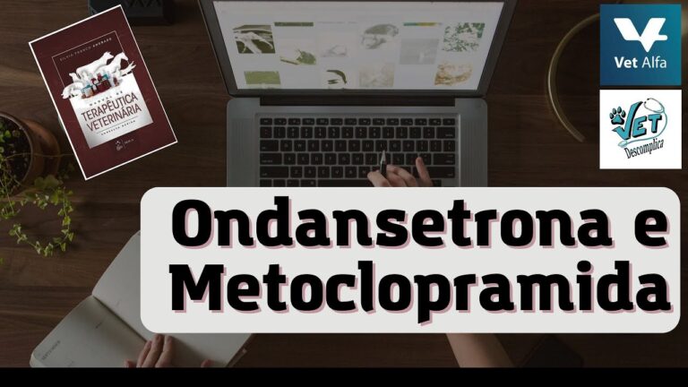 Eficacia de la terapia con metoclopramida en trastornos gastrointestinales