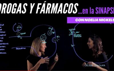 Farmacia Ortopedia Cepeda