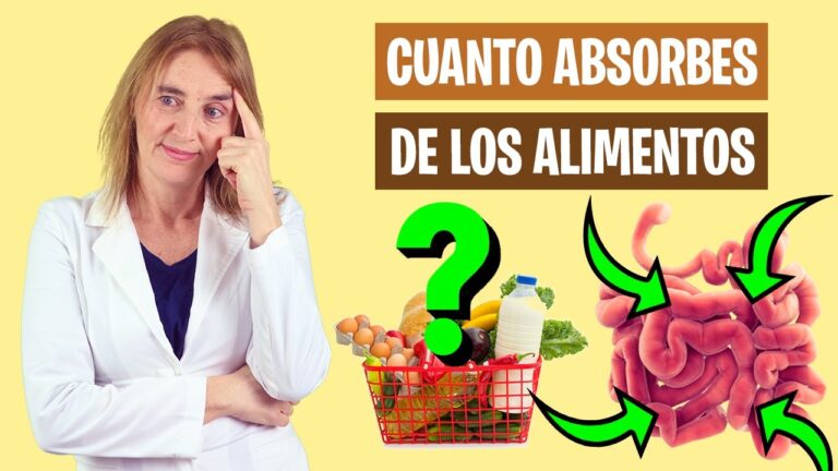 Mejora la biodisponibilidad de los alimentos