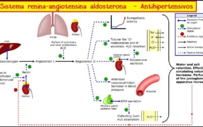 Farmacia Ortopedia Cepeda