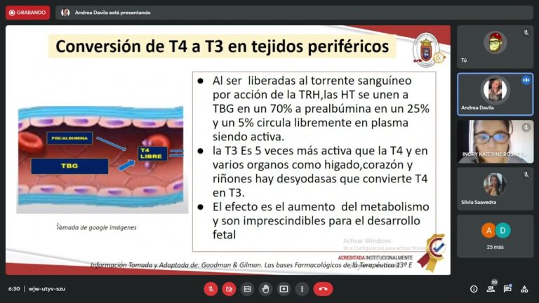 Terapias farmacol&oacute;gicas para la gl&aacute;ndula tiroides: una gu&iacute;a completa