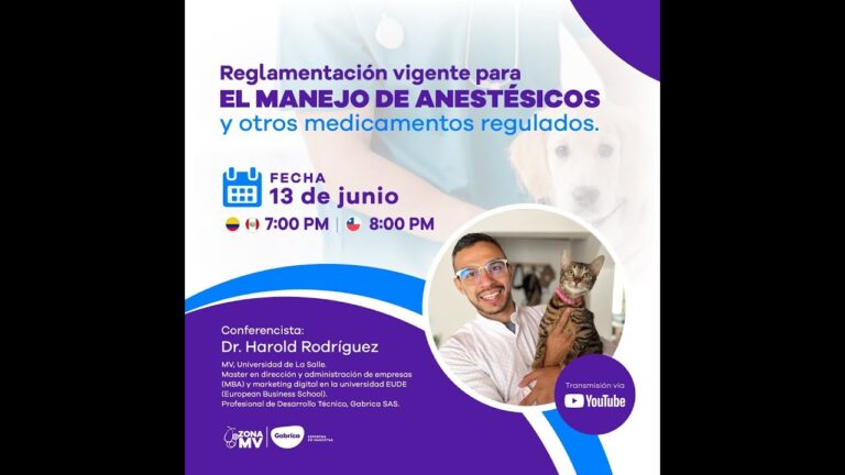 Avances en Anest&eacute;sicos Locales para Medicamentos