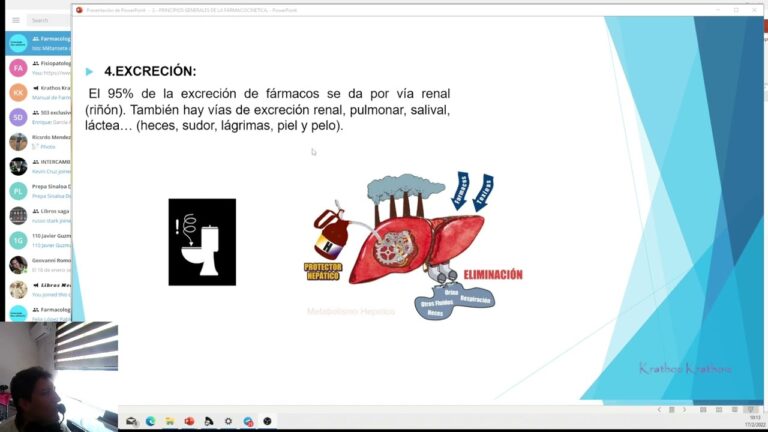 Medicina complementaria en la eliminaci&oacute;n farmacol&oacute;gica