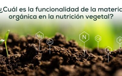 Farmacia Ortopedia Cepeda