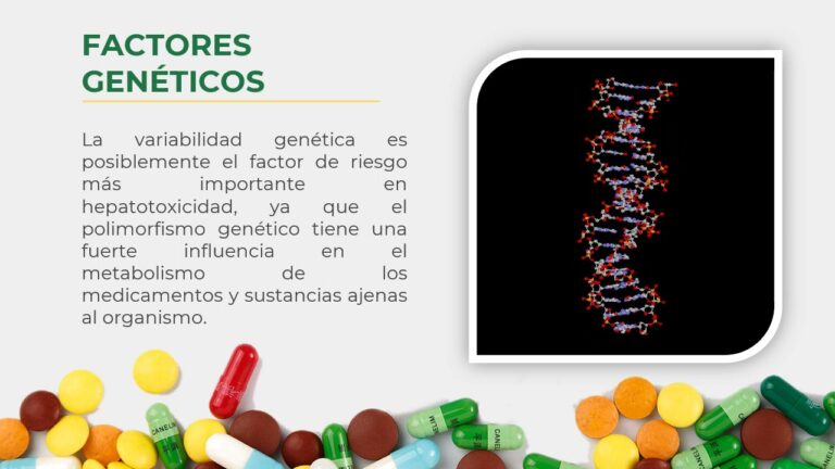 Toxicocin&eacute;tica y eliminaci&oacute;n de toxinas: una relaci&oacute;n crucial