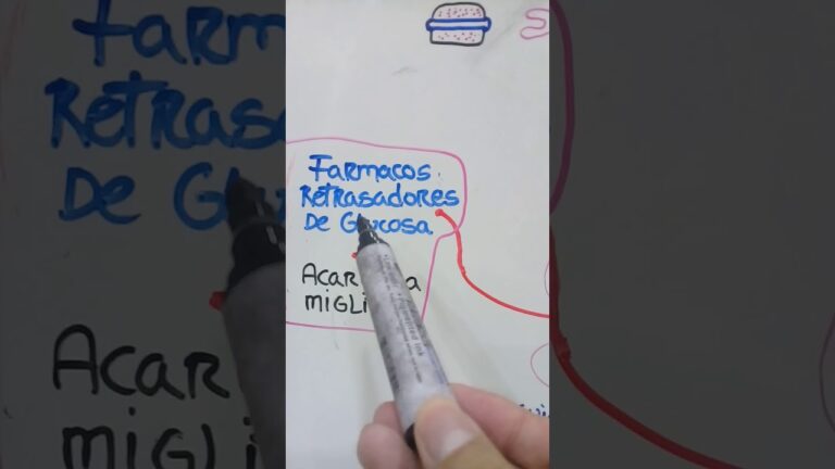 El mecanismo de acci&oacute;n de la insulina en la diabetes tipo 2