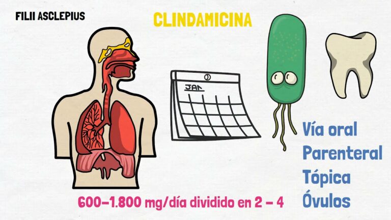 Clindamicina: Indicaciones y Dosificaci&oacute;n Optimizada