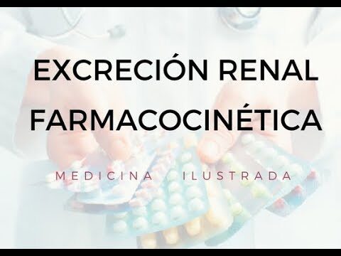 Farmacocin&eacute;tica y depuraci&oacute;n renal: un enfoque integral