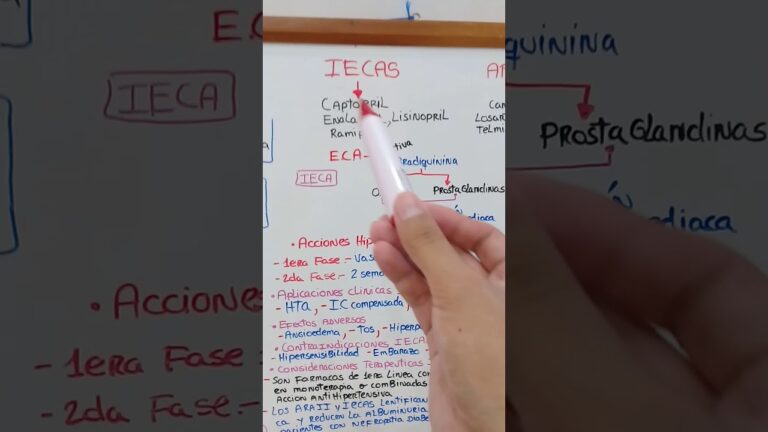 Aplicaciones terap&eacute;uticas de la prednisona: un an&aacute;lisis completo