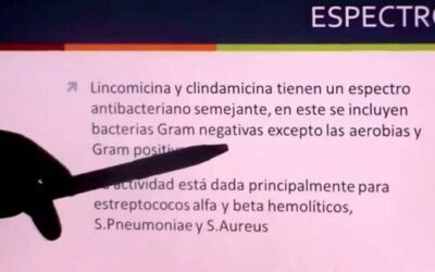 Farmacia Ortopedia Cepeda