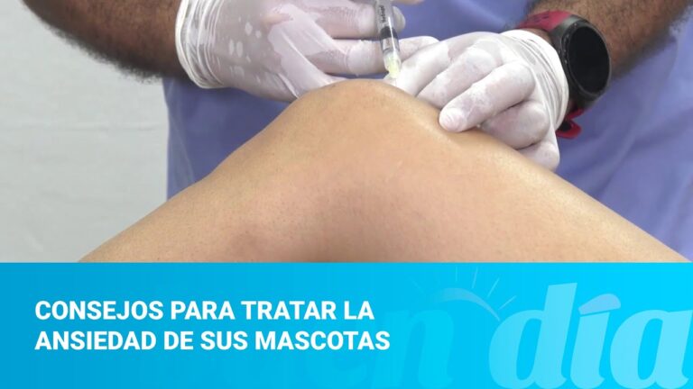 Terapias medicamentosas para el sistema nervioso: gu&iacute;a completa