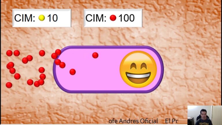 Mecanismos de resistencia bacteriana a ciprofloxacino.