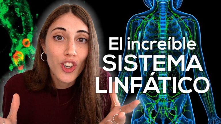 Potenciando el sistema linf&aacute;tico: F&aacute;rmacos clave